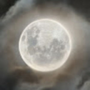 Meet your Posher, Jade